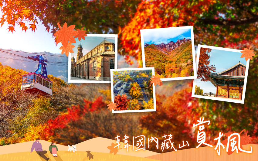 韓國內藏山賞楓５日